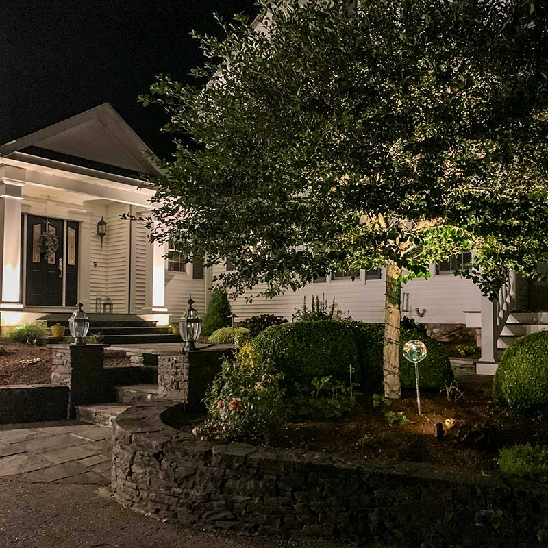 Landscape Lighting in Front Garden