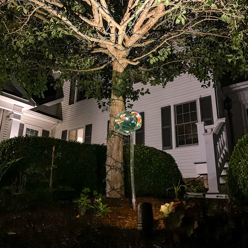 Landscape Lighting on Tree at Front of House